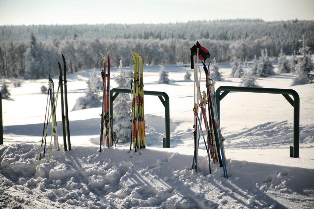 Hotel Krusnohorsky Dvur Cínovec Eksteriør bilde
